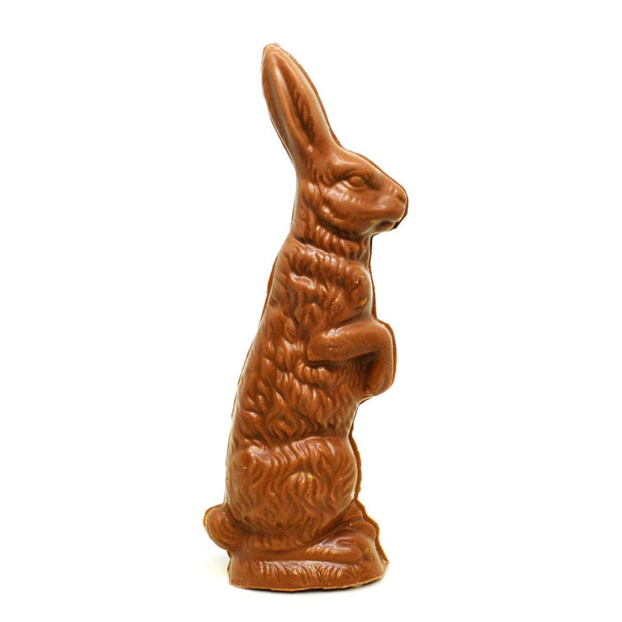 Large Hopper Bunny