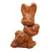 Chocolate Peanut Butter Meltie Bunny